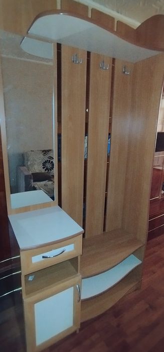 Прихожая 100*210
