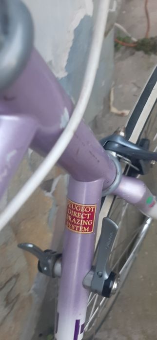 Cursiera de epoca Peugeot