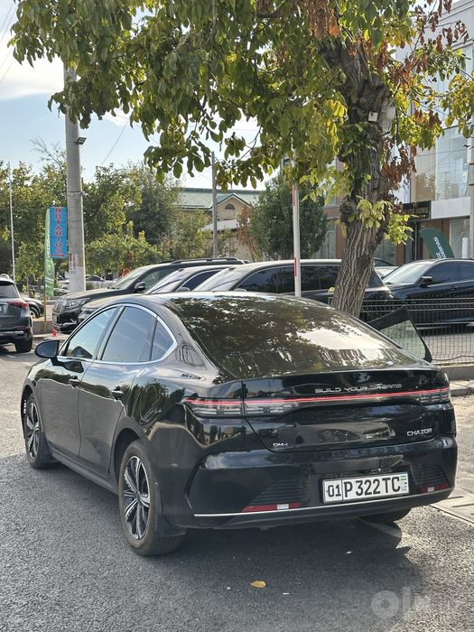 BYD Chazor 120 km Flagship