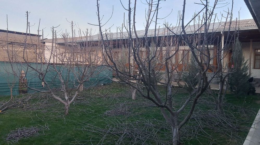 Toshkent shahri bo'ylab yer xaydash va chopish xizmati