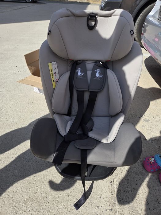Scaun auto crocodille