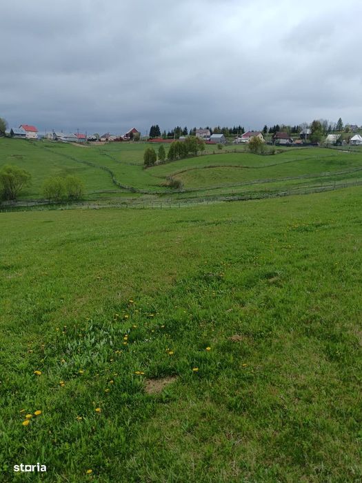 Teren 6000mp Măguri-Răcătău, pârâu, utilități. Schimb Florești