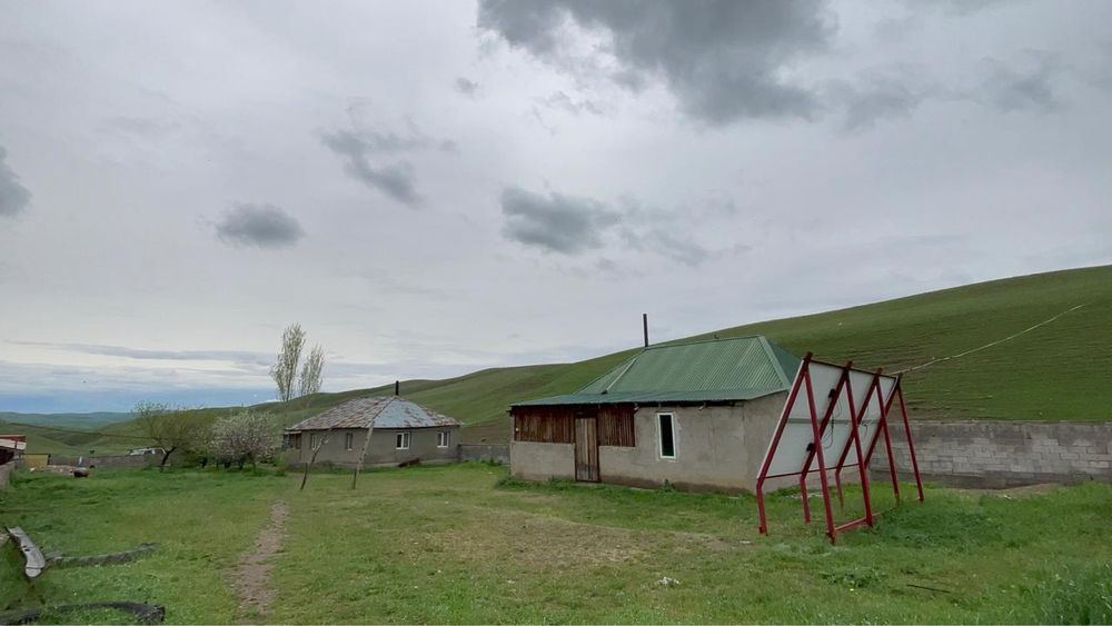 Сарай 150 га, хозяйство