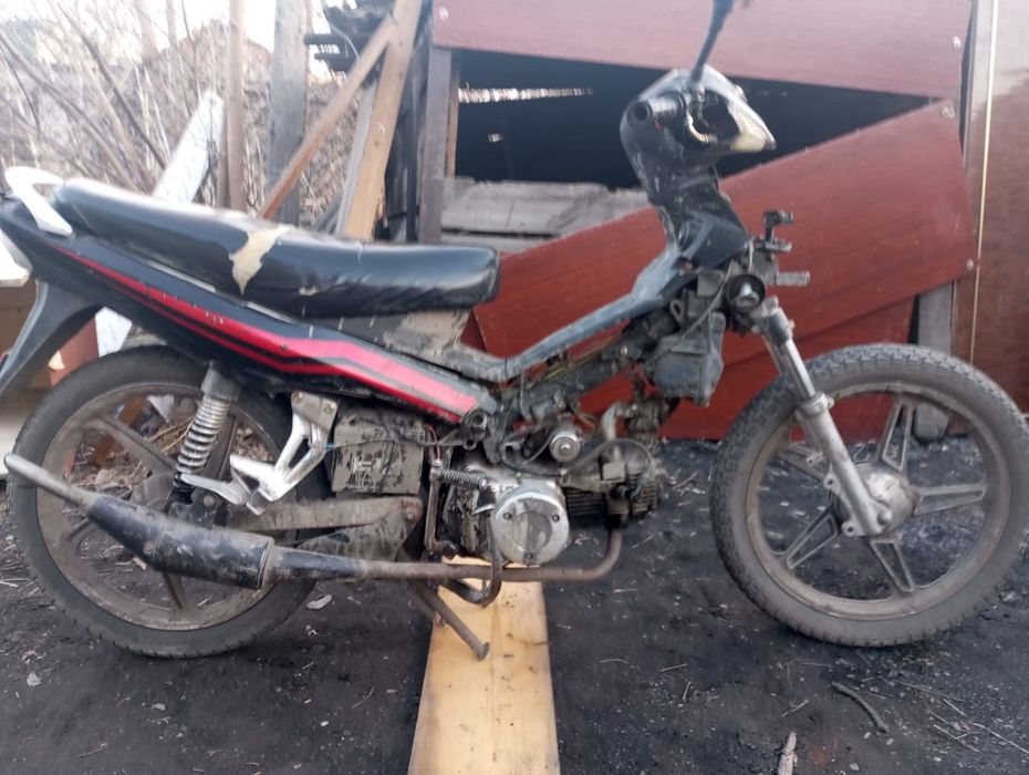 Рейсер индиго  110