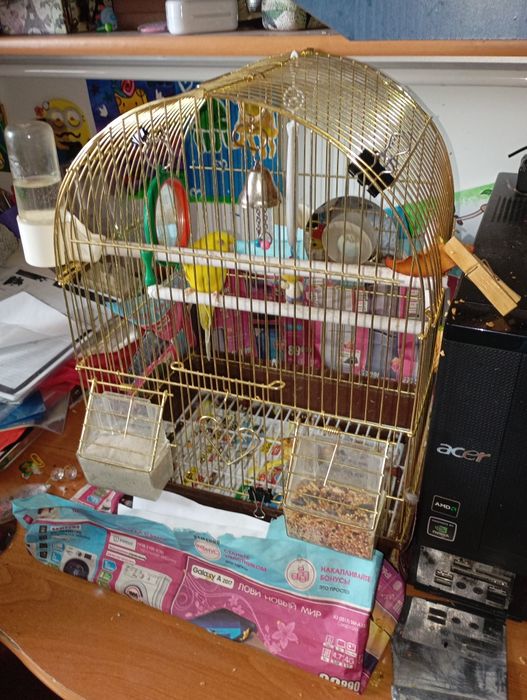 Попугаи с клеткой