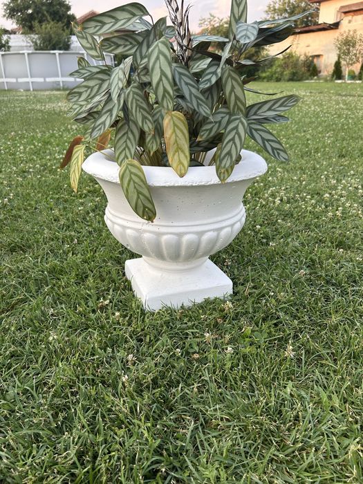 Бетонни градински стъпки-ГИГАНТ !!! Костенурки, плочки, бордюри и др.