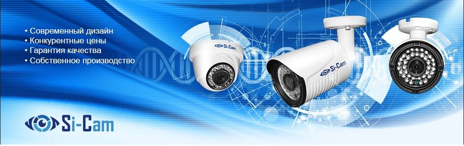 Мен әдемі транссексуалды сорғым келеді