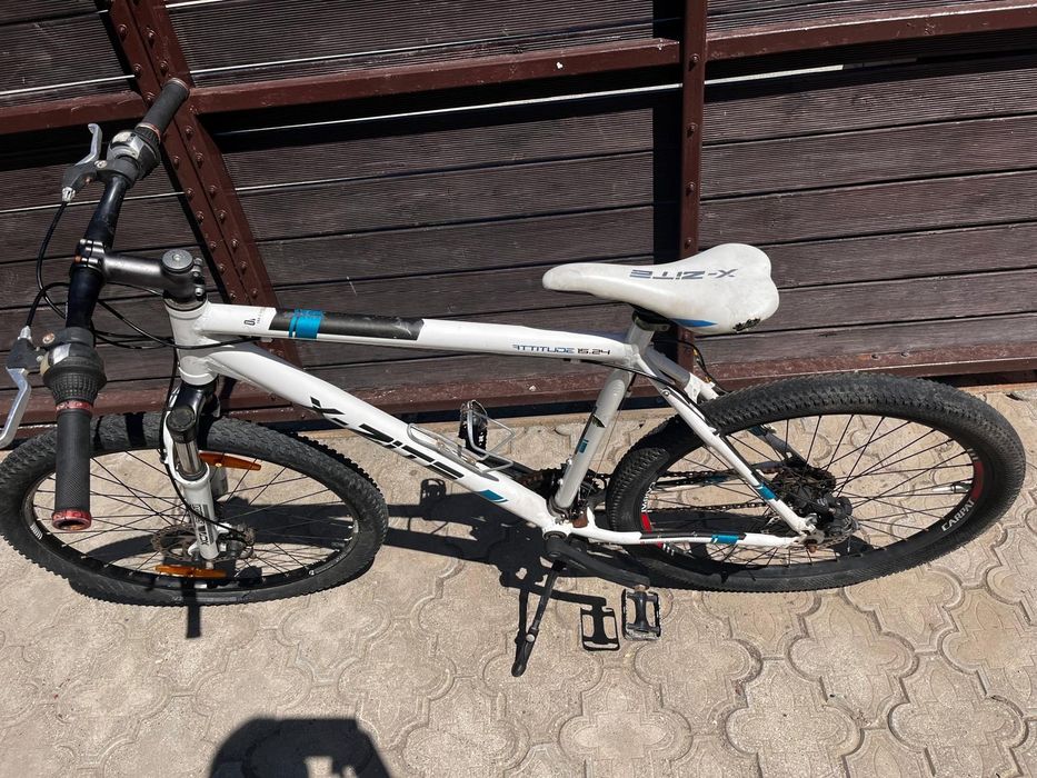 Bicicleta adulti