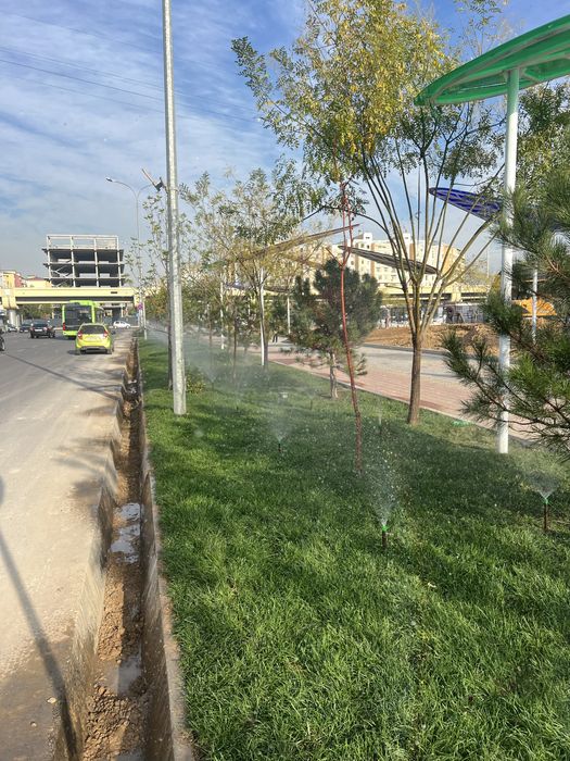 Gazon Birinchi qol Garantiyasi bilan