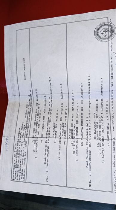 Продам,Обмен,ВЕО Кобель(7 лет)