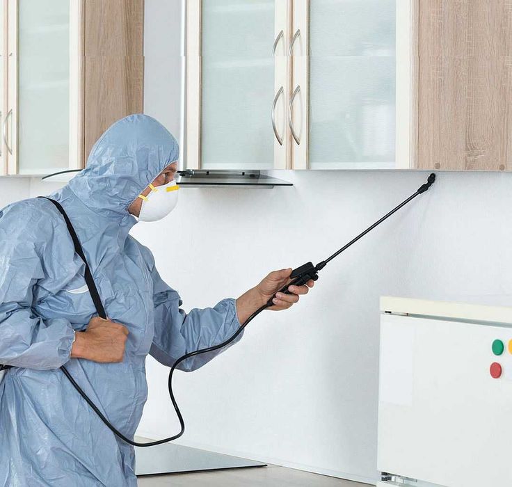 Dezinsecție ploșnițe, gândaci, purici – locuințe–București și Muntenia