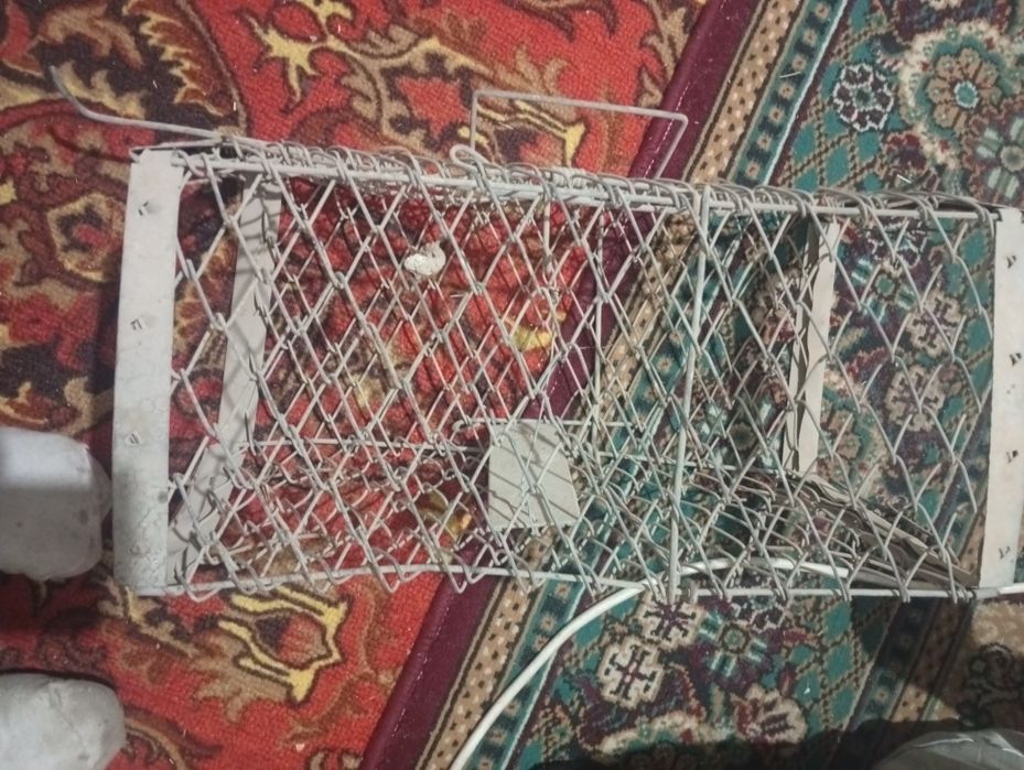 Уловная сетка по 500 тенге