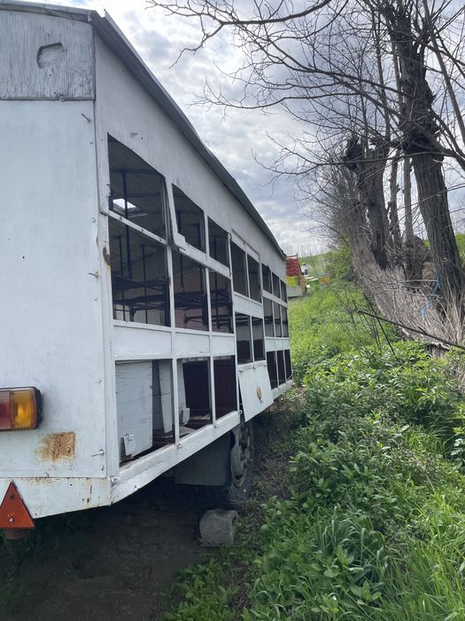 Vand pavilion apicol