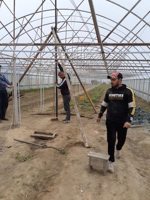 Foraje puturi  movila banului,limpeziș,Mărgineanu,pitulicea.