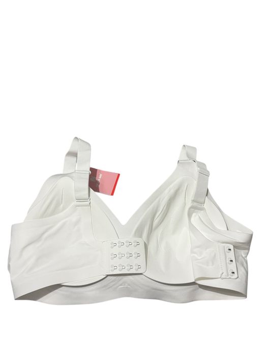 Бюсгальтер котта размер