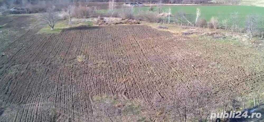 OCAZIE! Teren intravilan de vanzare, Aleea Albina, Botosani, 68euro/mp