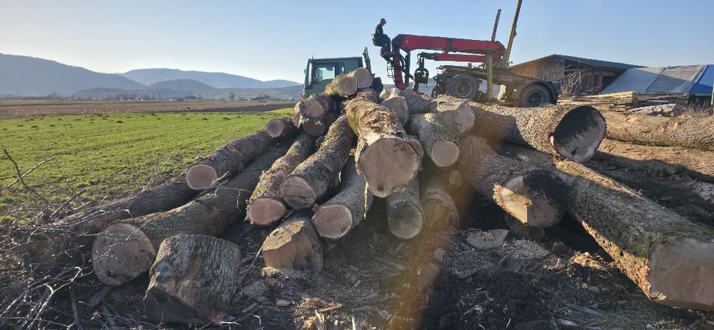 Lemn de foc stejar(bustean) – 400 lei / m³

Vând lemn de foc din **ste