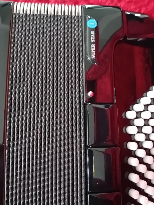 Vind Acordeon Borsini