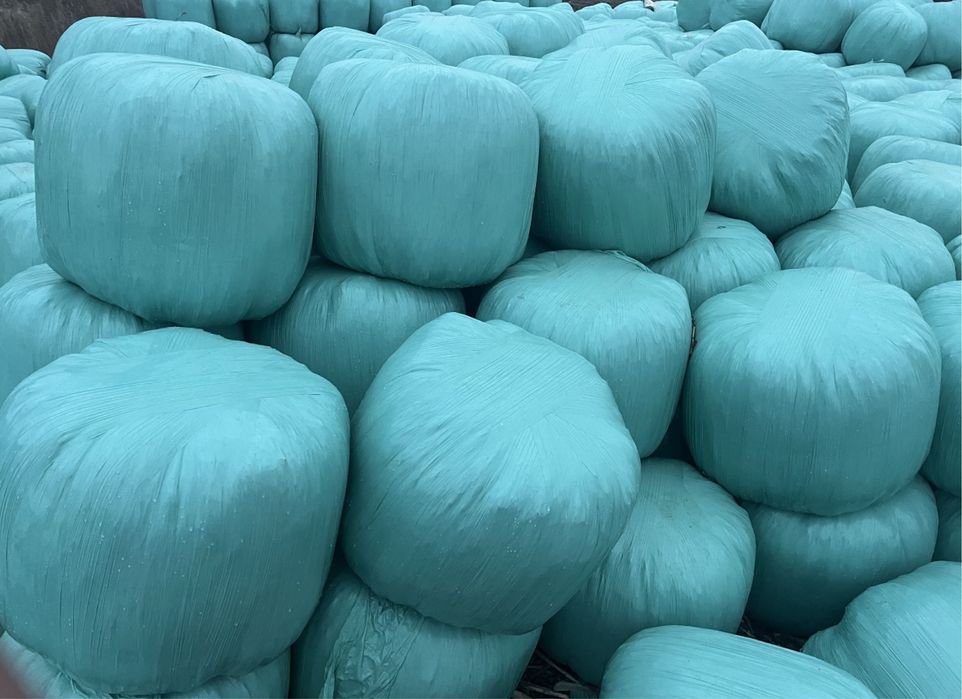 Силос кукурузный