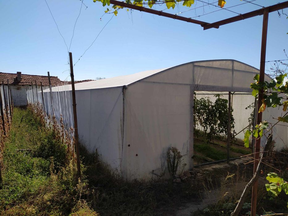 Оранжерии, 2 броя