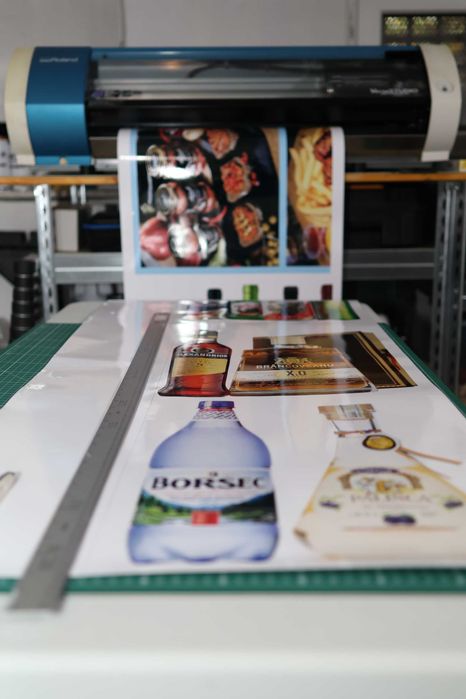 Imprimanta Roland BN-20