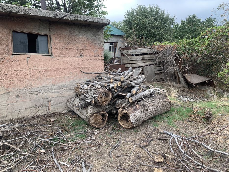 Отын дрова срочно
