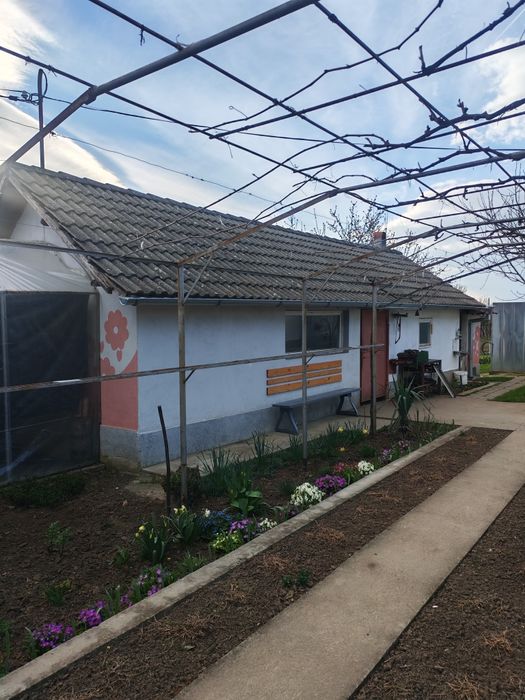 Продава се Къща в с. Ценович, Област Силистра - 150 кв.м за 299 €/кв.м - Снимка #18