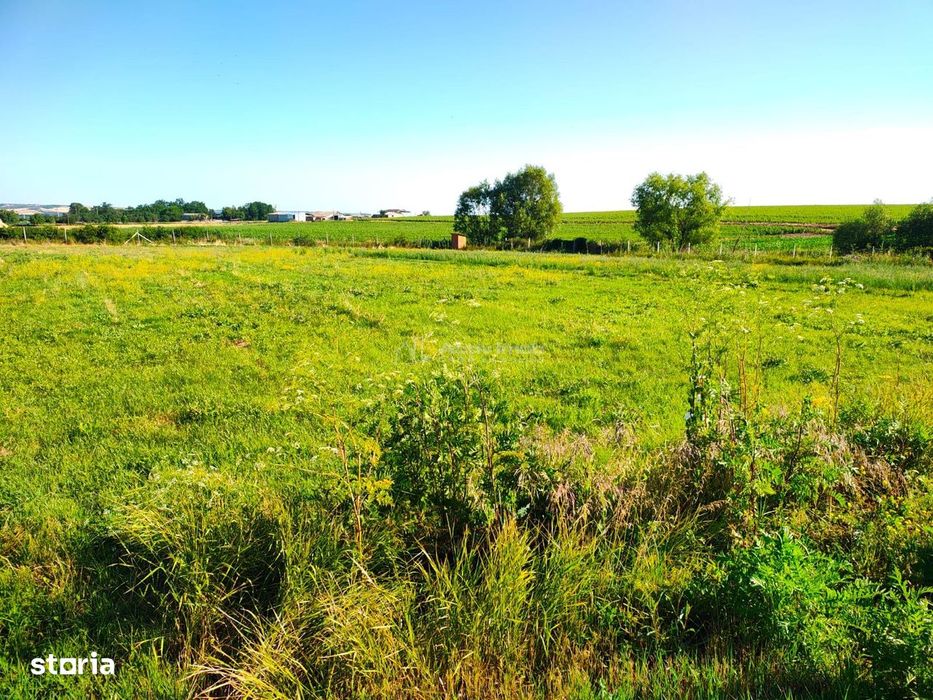 Teren 18.247 mp cu balta de pescuit – Misca, Comuna Chislaz, Bihor