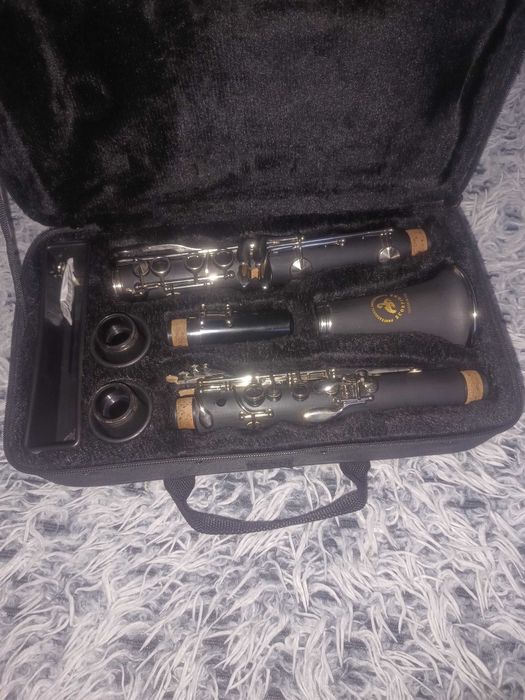 vand clarinet din 2025 nou nout 350 lei medgidia cine e Interesant