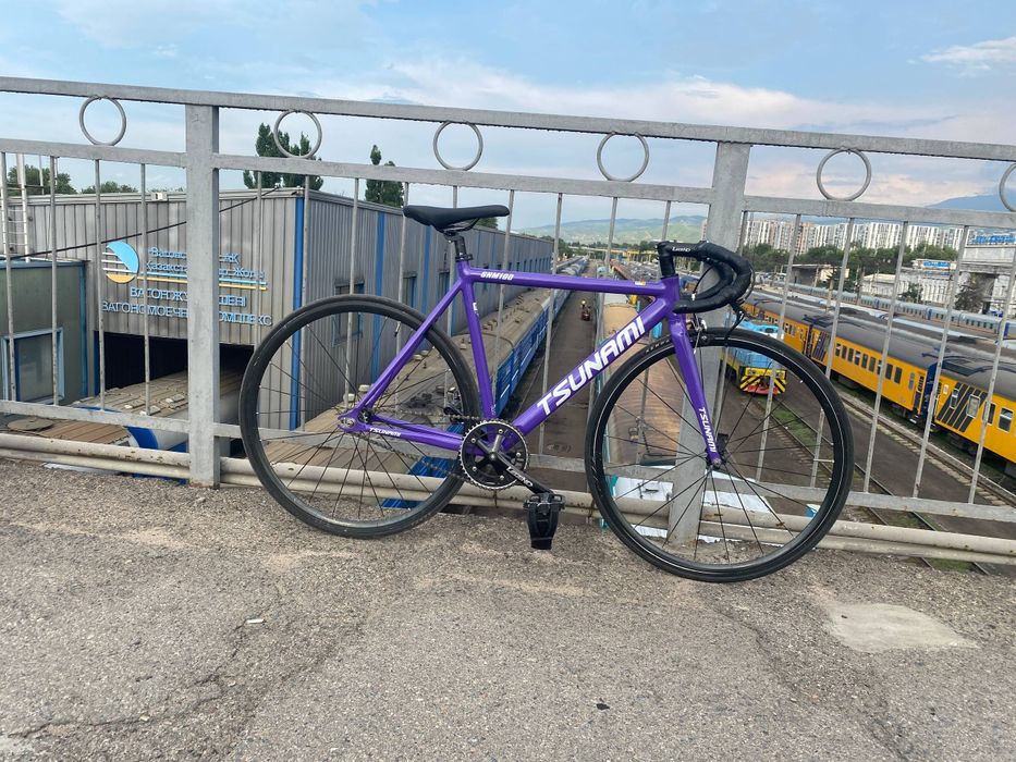 Tsunami snm 100 violet