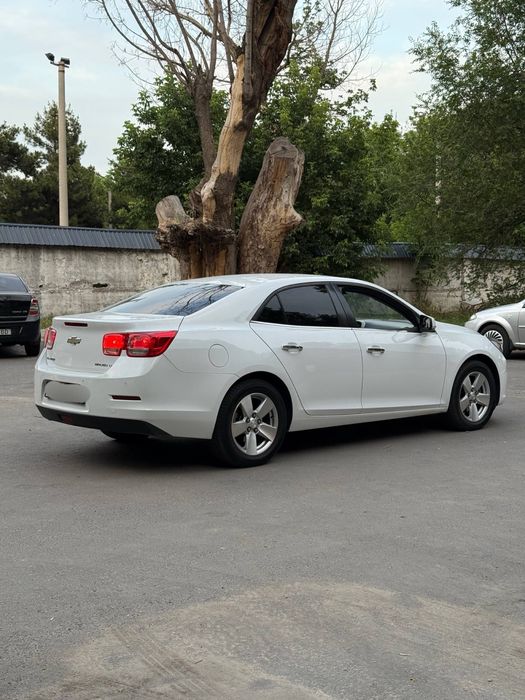 •Malibu 1 1 MT 2013•