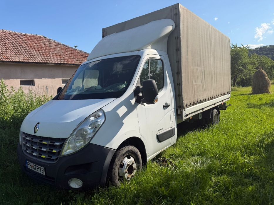 Debarasării apartamente/case, transport, defrisari