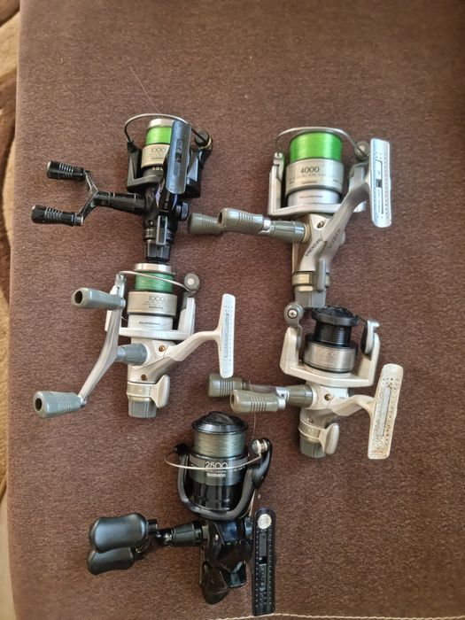 Mulineta Shimano