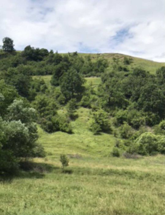 Conac de vânzare în stana