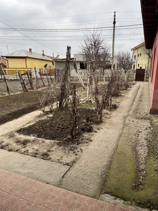 Casa din caramida de vanzare cu teren