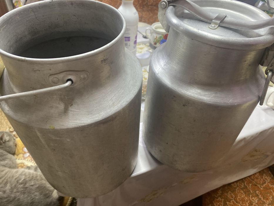 Продам пищевые бидоны