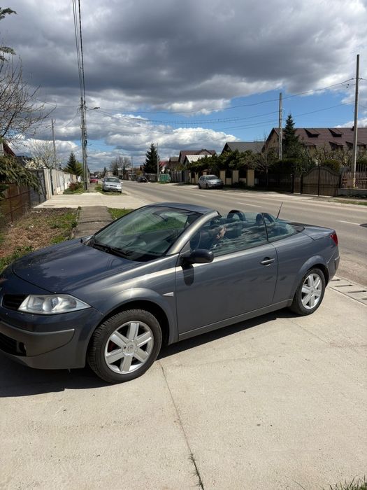 RENAUT  Megan Cabrio