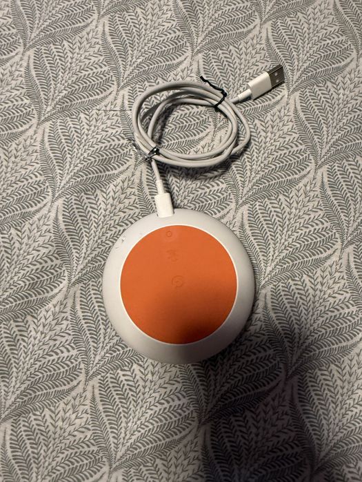 Google home ,fara cutie