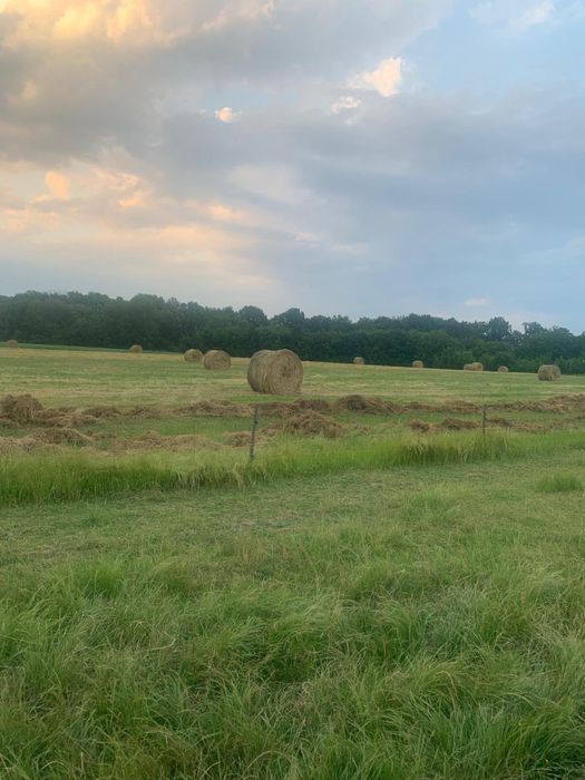 Vand baloti de paie circulari