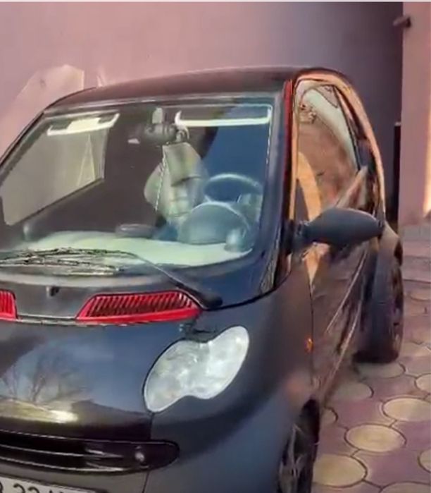 Autoturism.  Smart