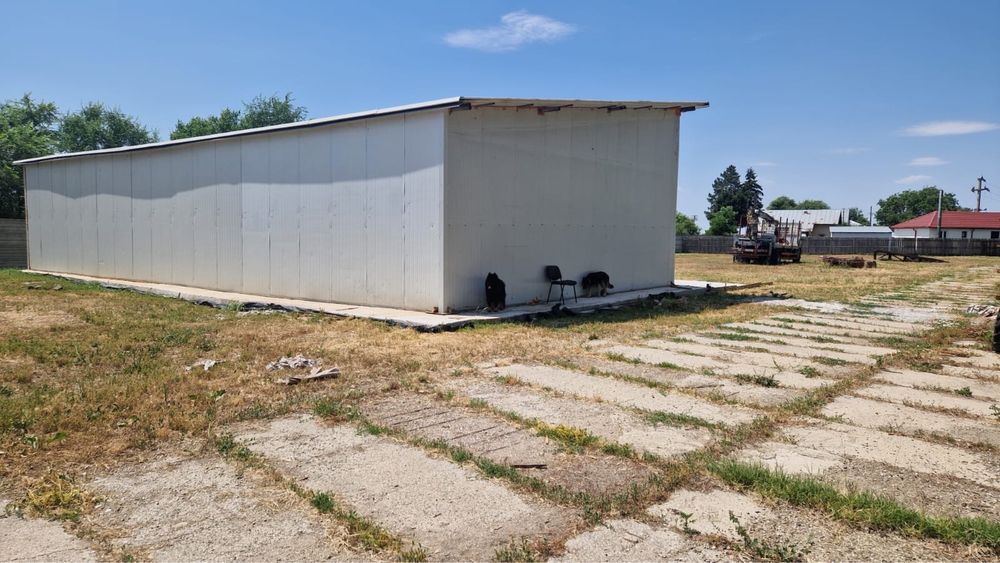 Imobil intravilan comuna Dridu acces rapid din București