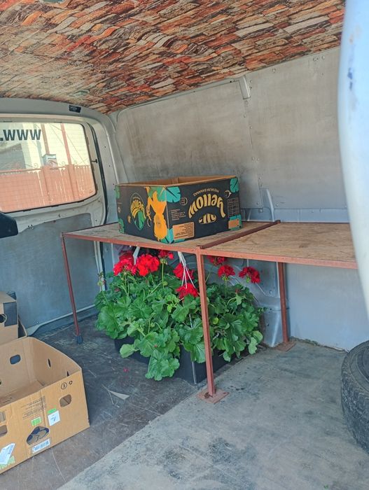 Autoutilitara Volkswagen