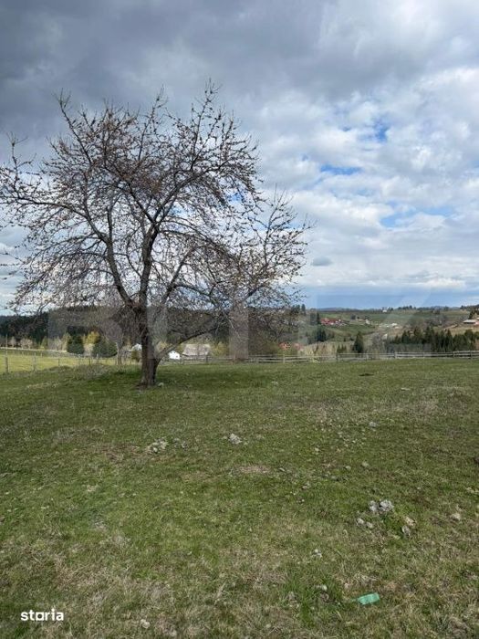 De vanzare teren intravilan, 1.716 mp - Marisel