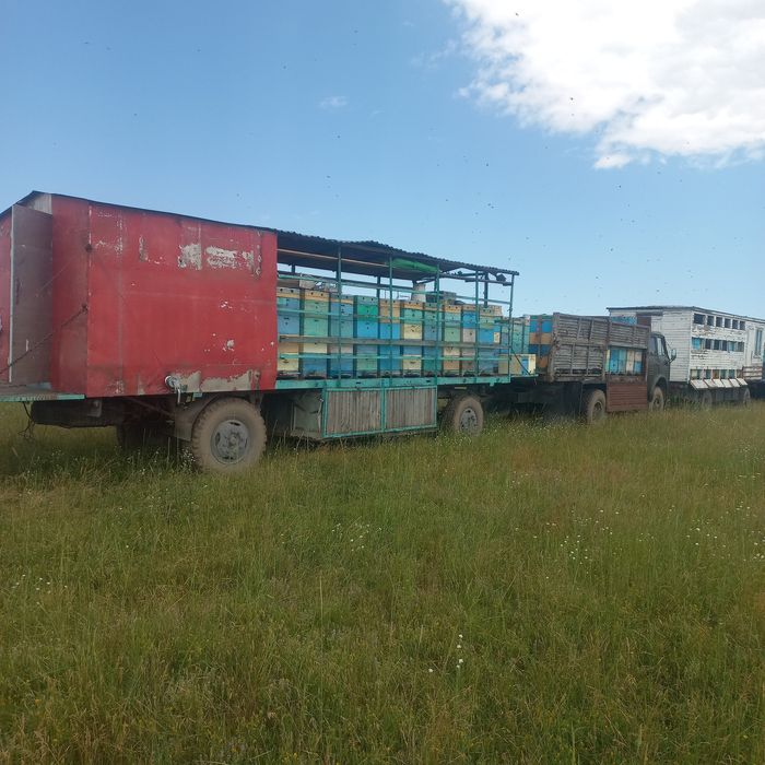 Продам пасеку в сцепке!!!