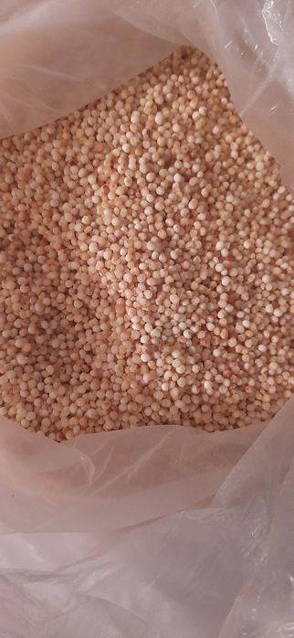 Продам пшено,просо,тары