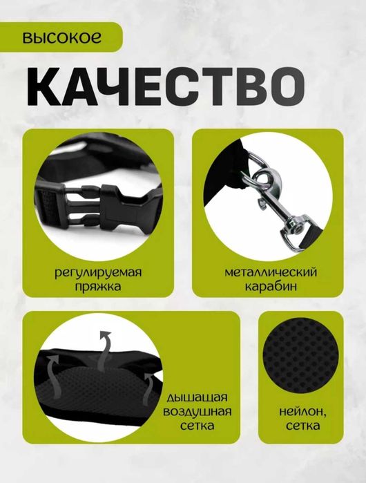 Шлейка+ поводок для собачки