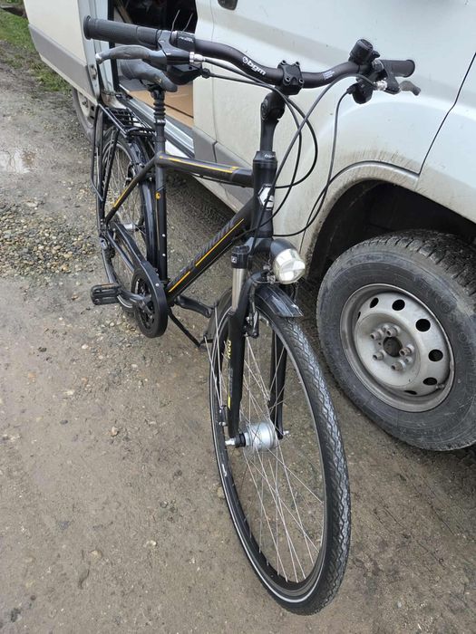 Bergamont  28 dinam butuc