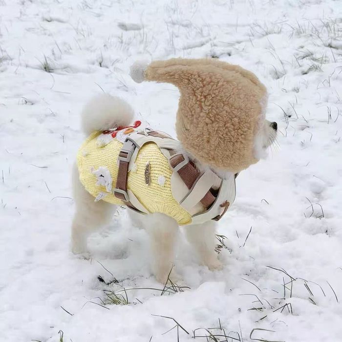 Одежда для собак и кошек