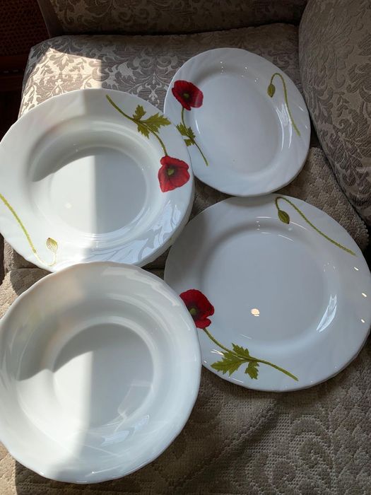 Тарелки  большие