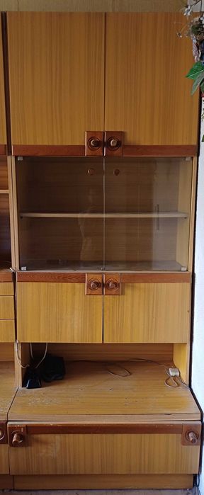 Холова секция ,,Иглика"